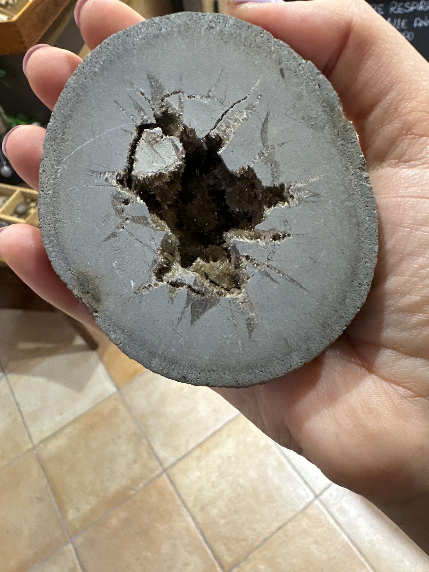 Septaria Italiana con Cristallino all’interno