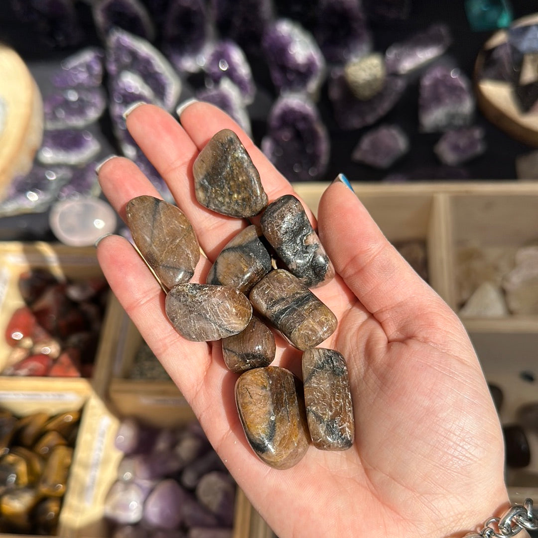 Chiastolite levigata