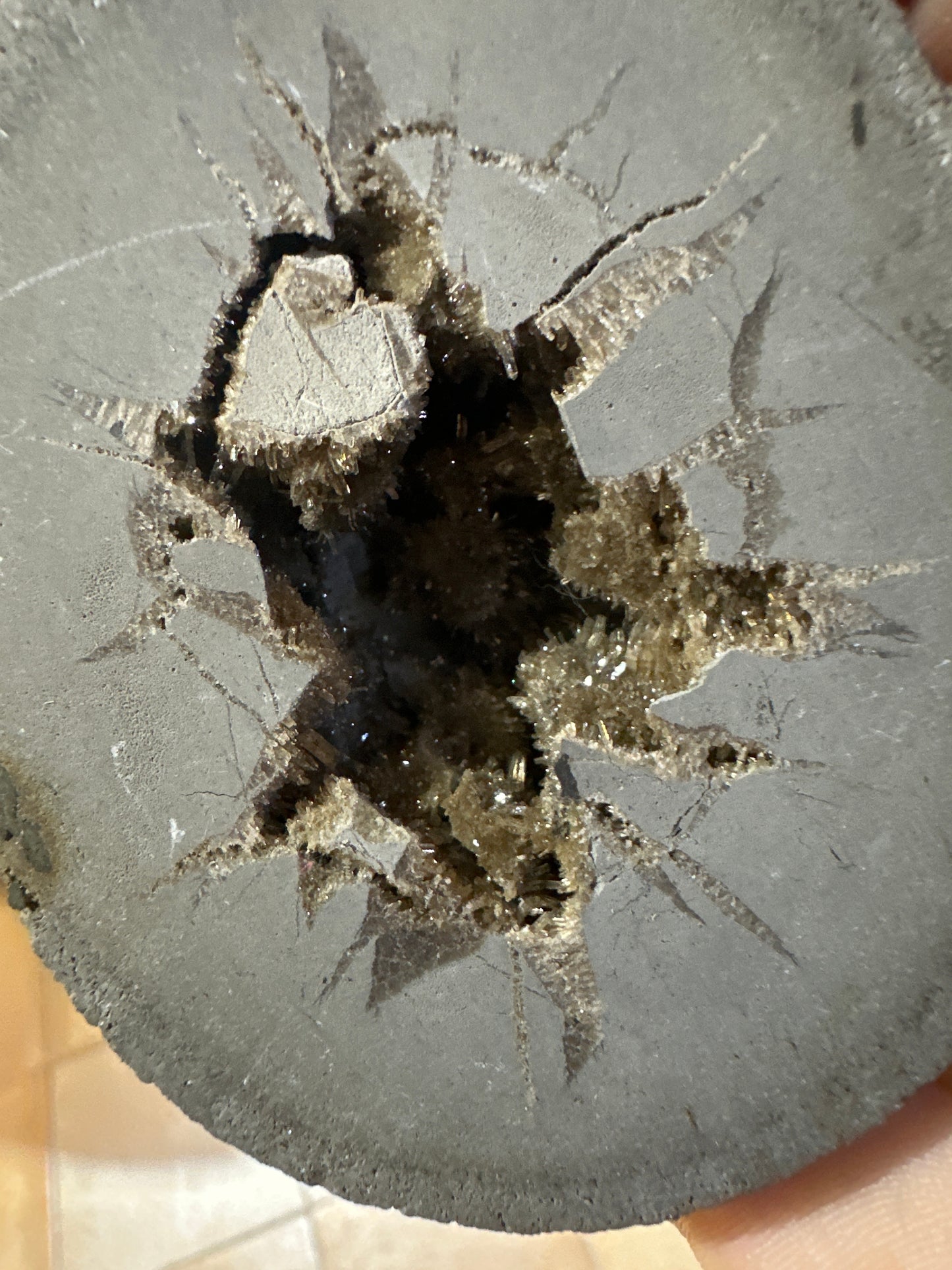 Septaria Italiana con Cristallino all’interno