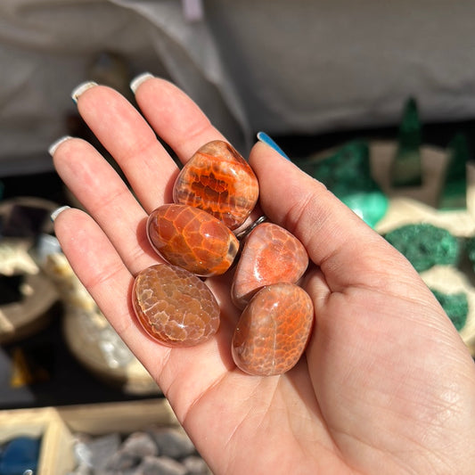 Agata di fuoco 🔥 burattata