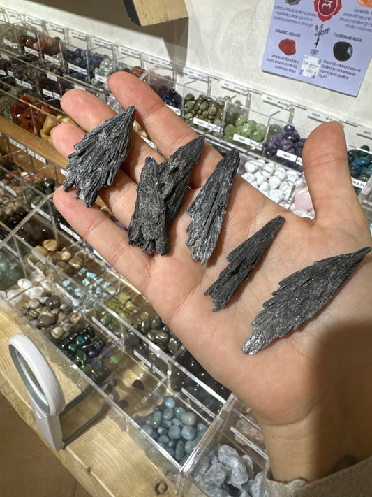 Cianite Nera (Scopetta della Strega)