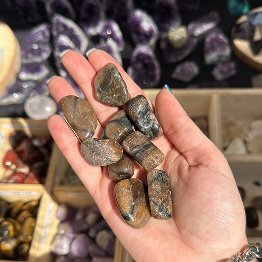 Chiastolite levigata