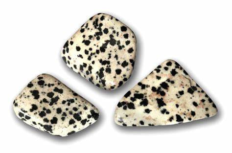 Diaspro dalmata