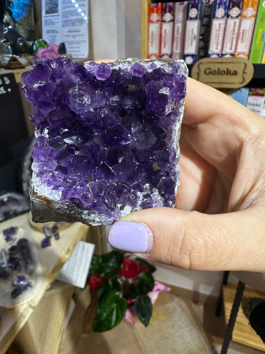 Drusa ametista Uruguay