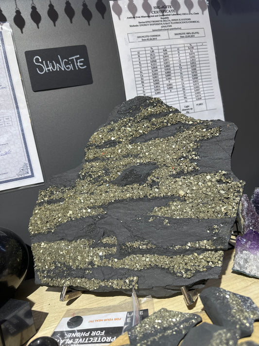 Lastra di Shungite grezza con Pirite