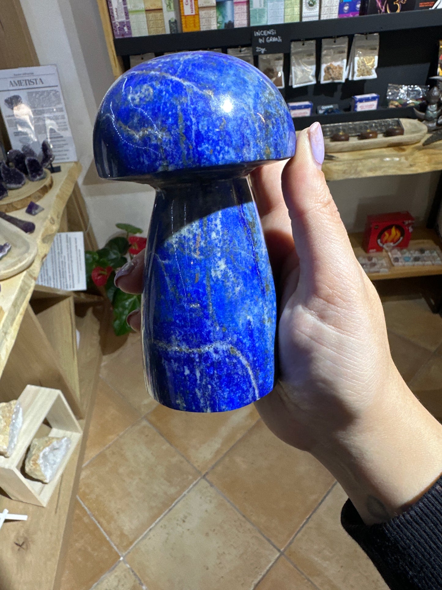 Fungo grande di Lapislazzuli