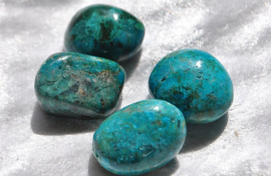 Crisocolla burattata