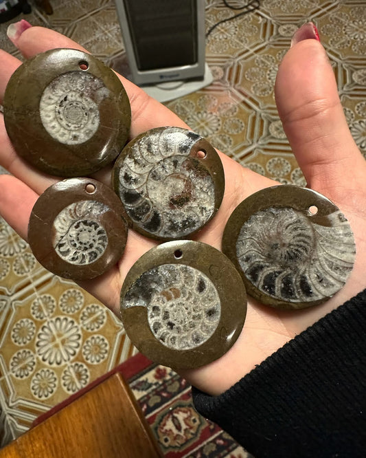 Ammonite forata per ciondolo