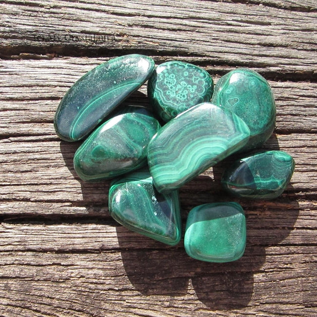 Malachite burattata